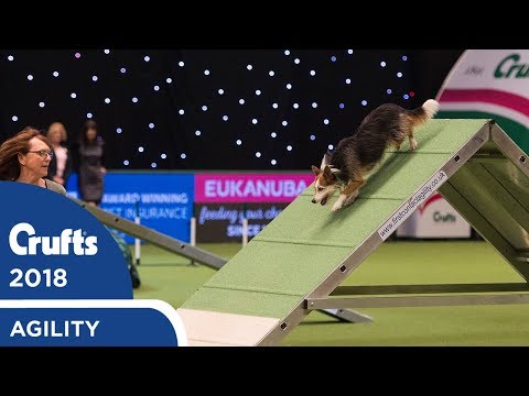 Agility – Championship Final | Crufts 2018