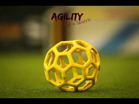 || Agility, not a Sport?! ||